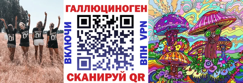 Псилоцибиновые грибы GOLDEN TEACHER  купить наркоту  Пестово 